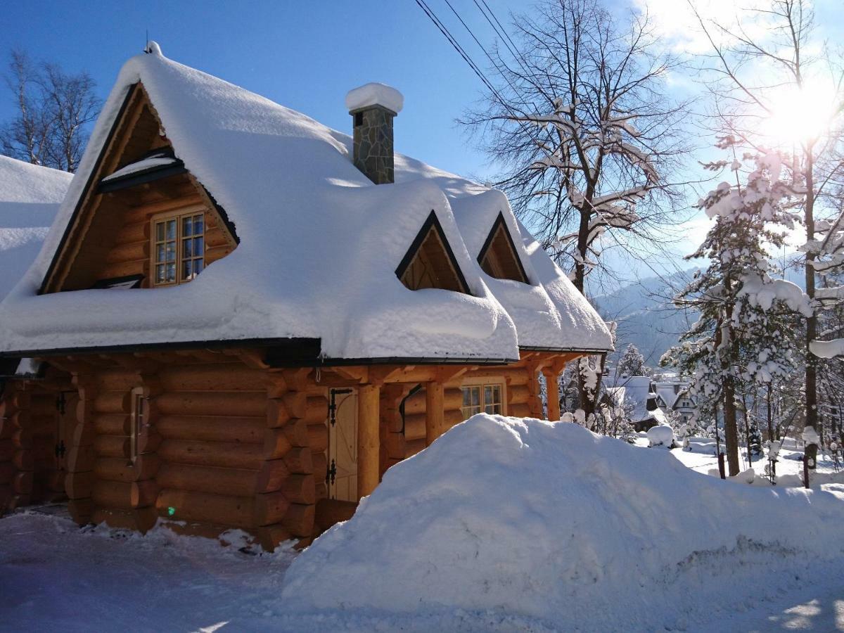 Biolo I Corno Izba Mountain Chalets コシチェリスコ エクステリア 写真