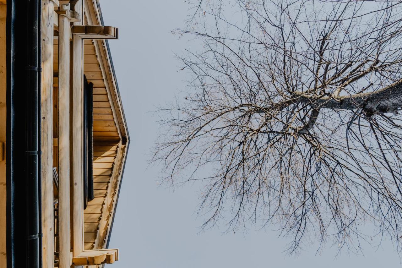 Biolo I Corno Izba Mountain Chalets コシチェリスコ エクステリア 写真